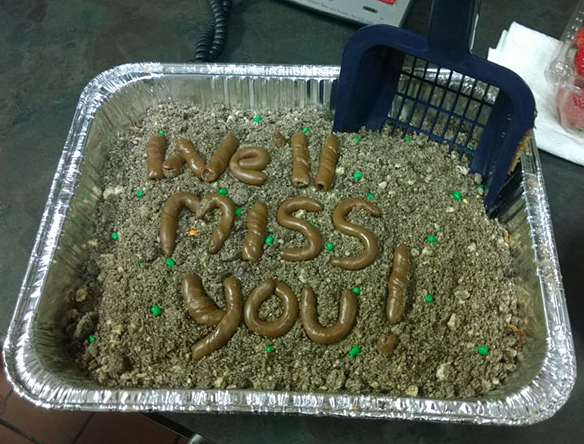 via The Daily Quicky