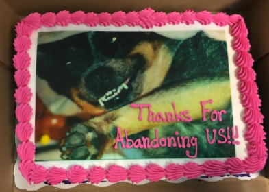 via The Daily Quicky