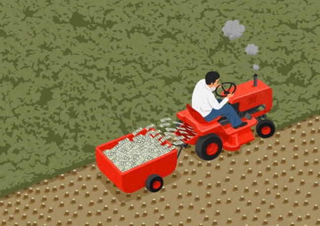 ⓒJohn Holcroft