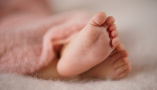 기사와 관련 없는 자료 사진/ shutterstock