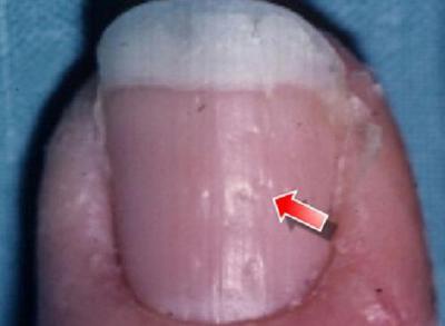 19303d47505d3b6114ff4f