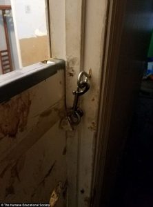 41cb118300000578-0-image-a-100_1498543194250