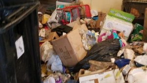 76697a79-3cc5-4ec8-b8fe-acec4276cdfc-large16x9_soddyanimalhoardingcase8