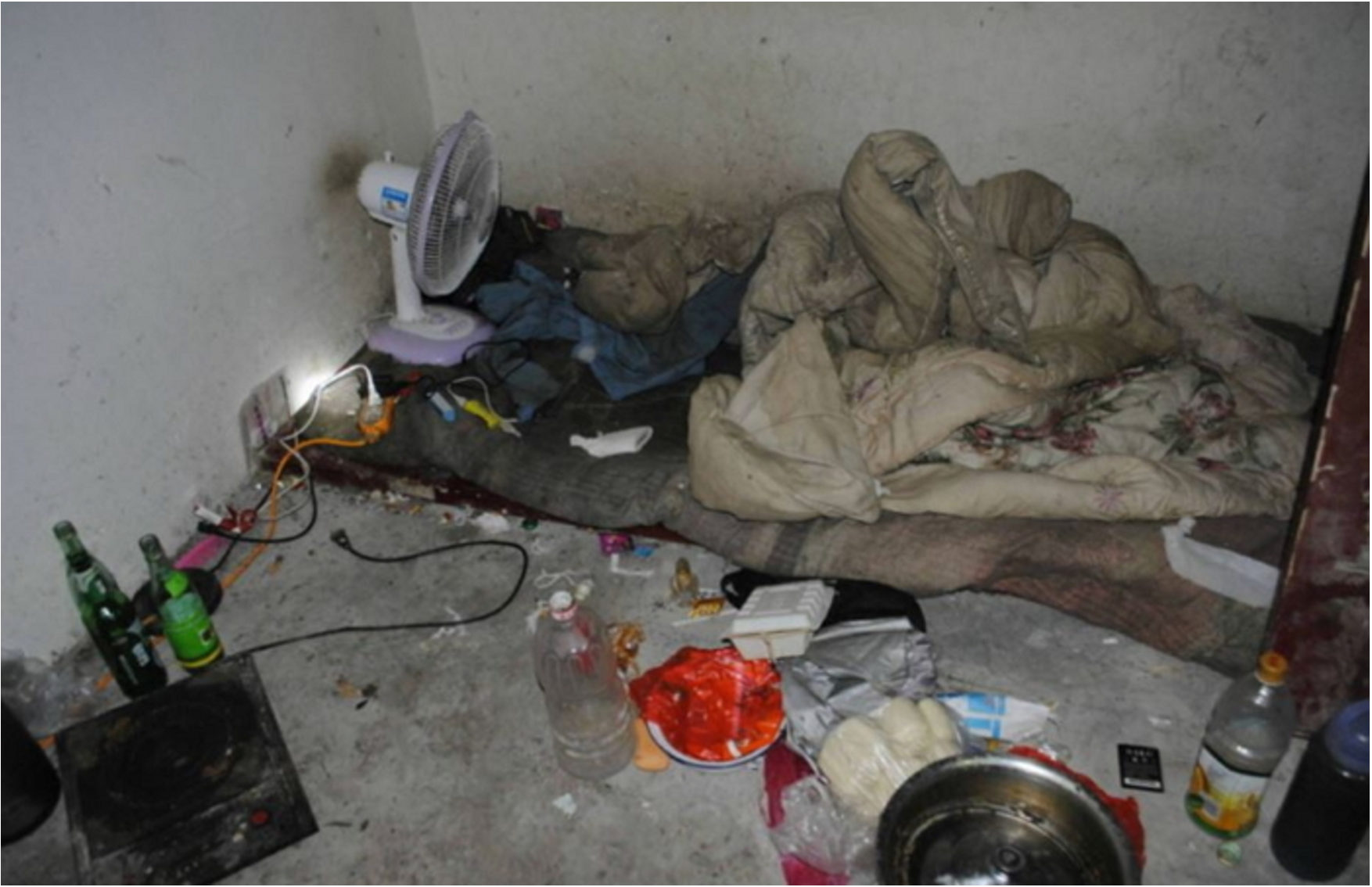 온라인 커뮤니티