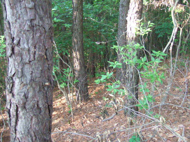 기사와 무관한 자료 사진/tistory