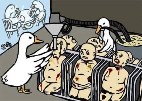 13339660_617004671787524_1936182668437458771_n