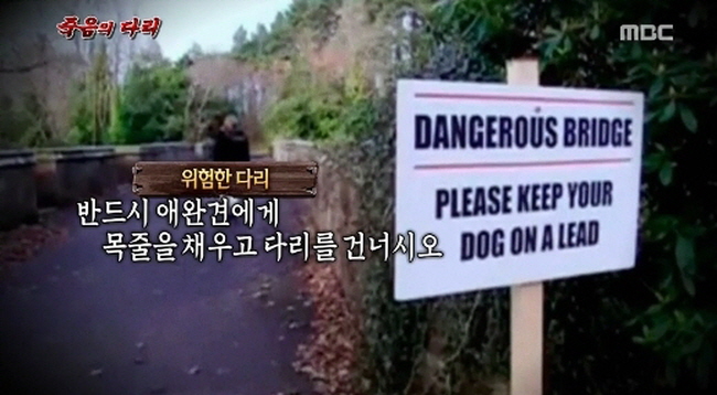 MBC '신비한TV 서프라이즈'