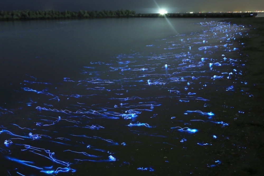 Takehito Miyatake