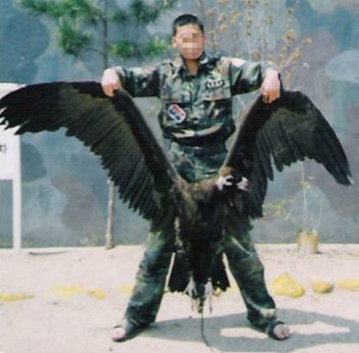 온라인 커뮤니티