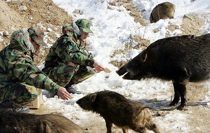 온라인 커뮤니티