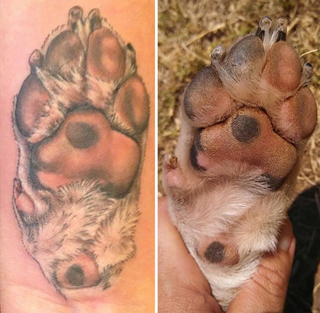 awebic-tatuagens-cachorros15