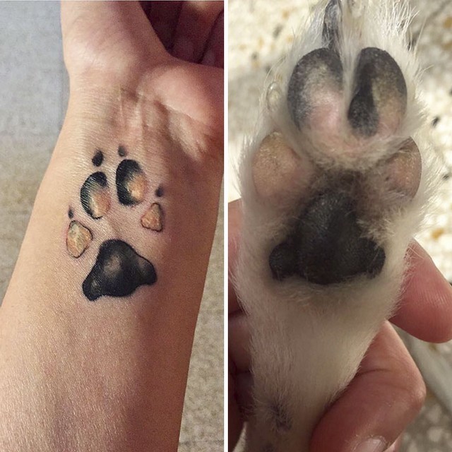 awebic-tatuagens-cachorros4