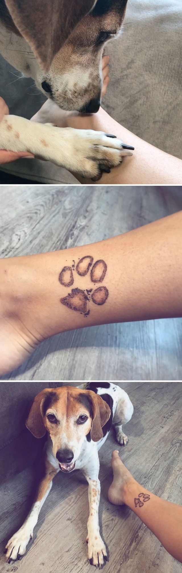 awebic-tatuagens-cachorros6