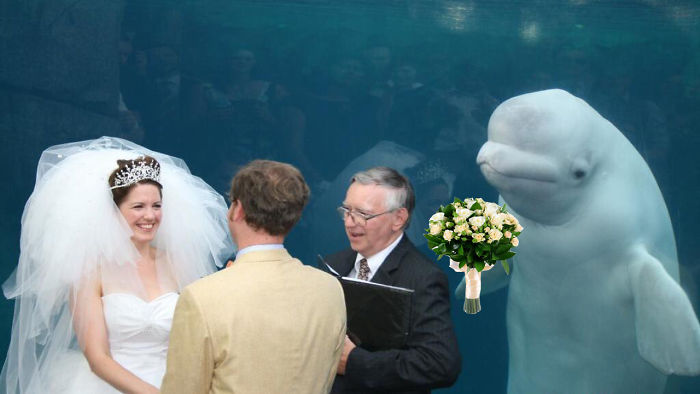 이미지 출처 | 온라인 커뮤니티