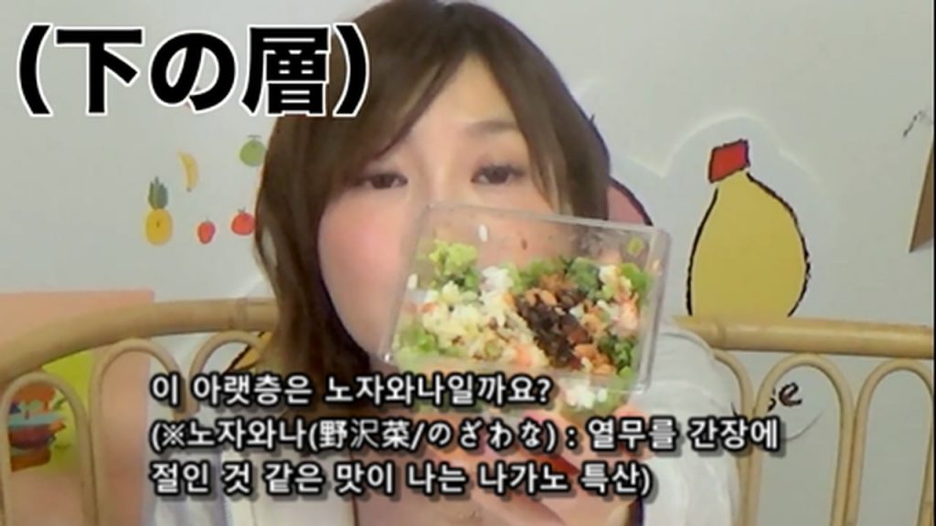 %e3%80%90mukbang%e3%80%91-the-top-10-ekiben-lunch-boxes-from-tokyo-station-142-dollars-in-total-cc-available-mp4_20170928_102041-094