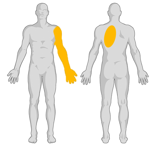 %ed%8c%94%ea%b3%bc%eb%93%b1