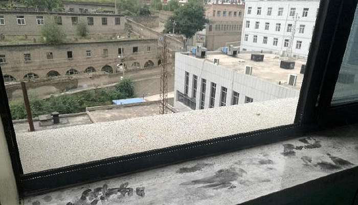 shanghaiist