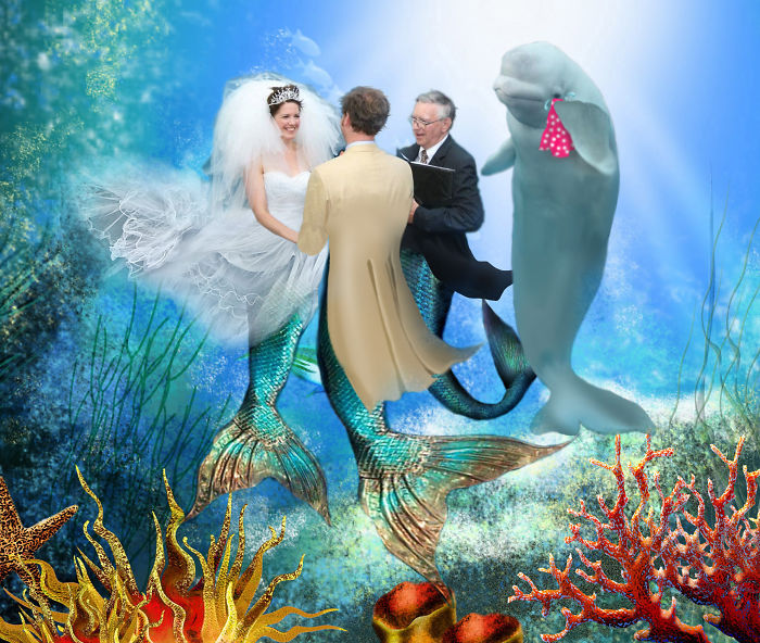 이미지 출처 | 온라인 커뮤니티