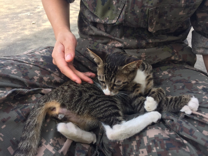 온라인 커뮤니티