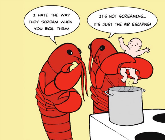 o5vu49d66afb04kyu0kv