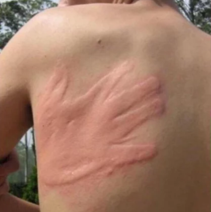 twitter-causewereguys