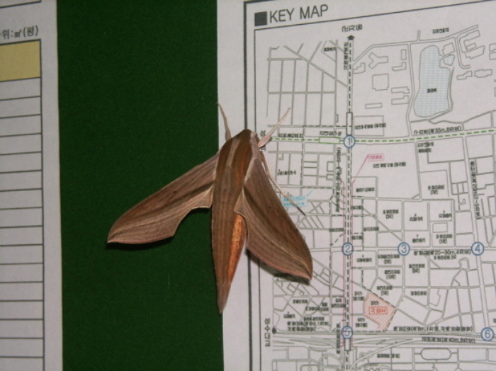 온라인 커뮤니티