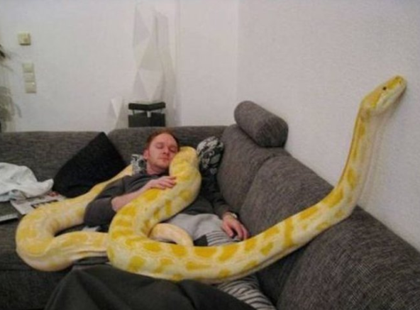 Zombie Amargado @EyDary