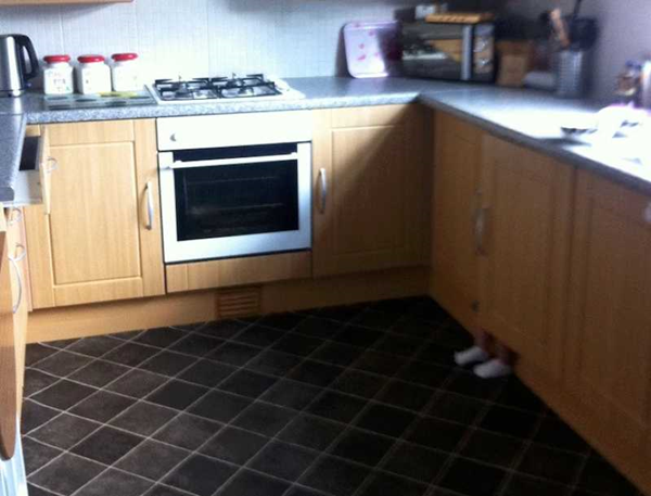 온라인 커뮤니티