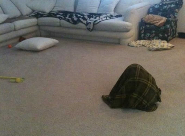 온라인 커뮤니티