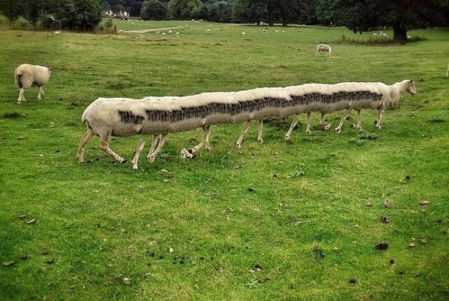 온라인 커뮤니티