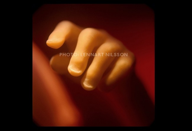 1552360-21-650-32e9147584-1504392207