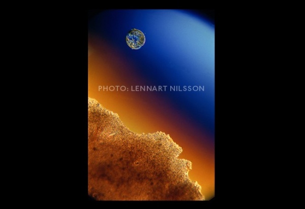 1552960-8-600-a542d8629a-1504392207