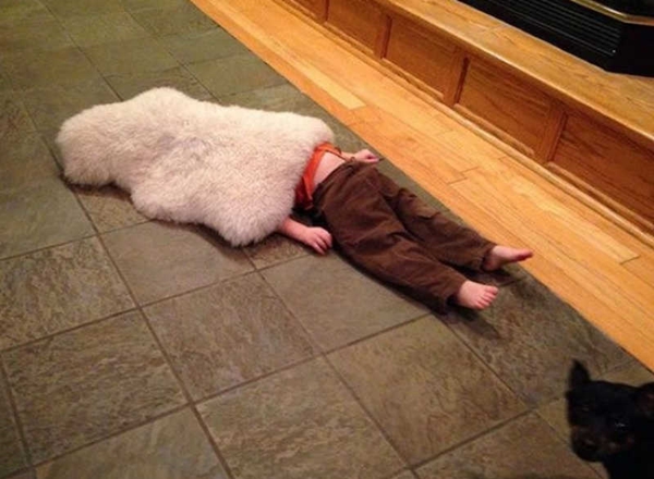 온라인 커뮤니티