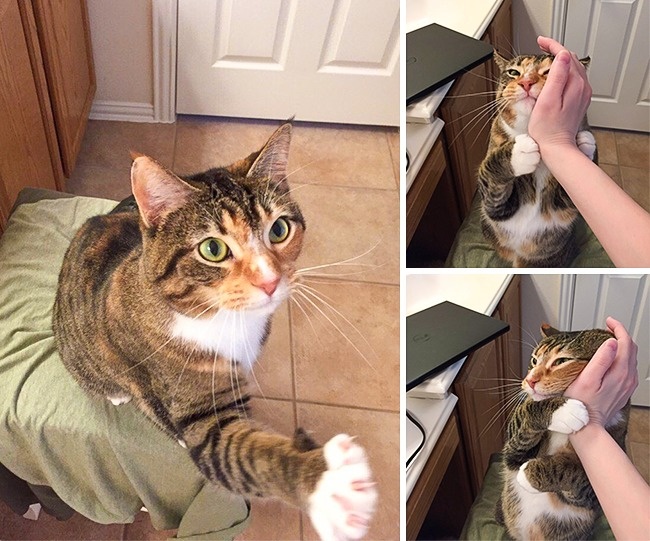 16868260-18373910-276999-0-1493027656-1493027659-650-7-1493027659-650-f7c5b7dfc6-1493147587