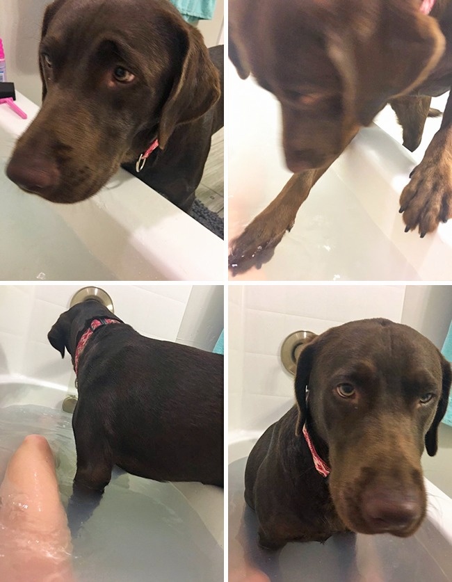 16868560-18378610-277000-0-1493028271-1493028274-650-8-1493028274-650-fe81356311-1493147587