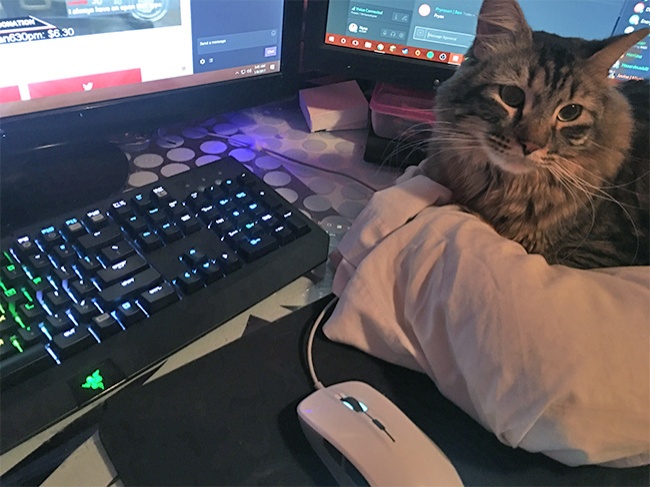 16868610-277001-0-1493028372-1493028386-650-c38547461e-1493147587