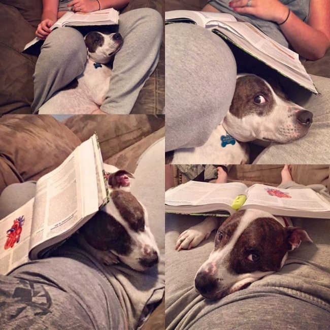 16868710-r7yprfk-1492883084-650-907f2bc1a7-1493147587