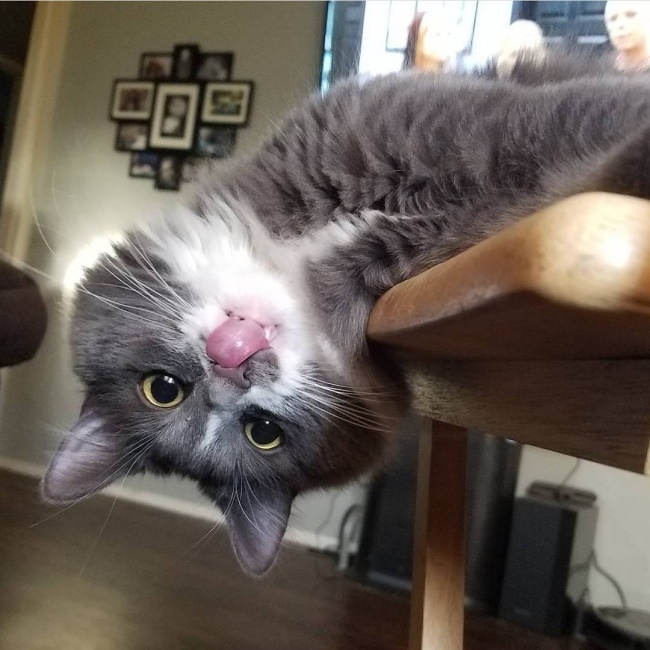 17248060-18011462_1858892404362856_2748921877102592000_n-1494603436-650-22497bf1d7-1495200677