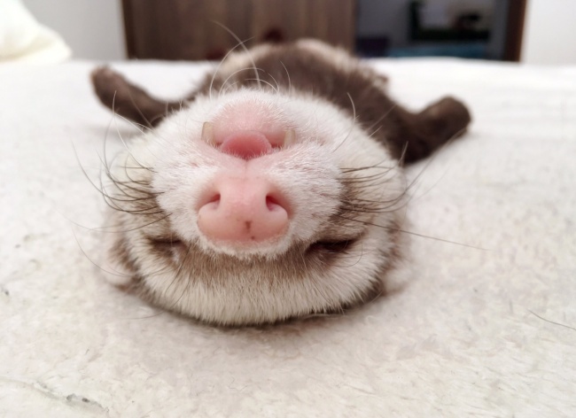 17248110-2017-05-16144540-1494935506-650-9545cd325d-1495200677