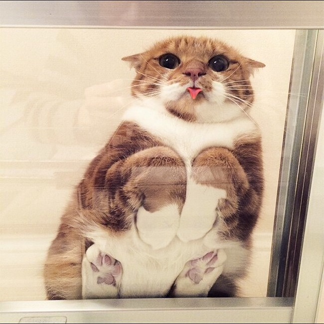 17248160-22109660-296279-0-1494956519-1494956522-650-5-1494956522-650-854b20aef9-1495200677