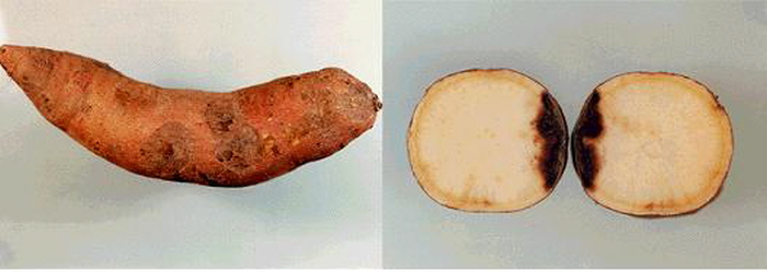 2 29 - 잘못 먹으면 건강에 '독'이 될 수 있는 10가지 음식