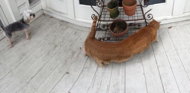 온라인 커뮤니티