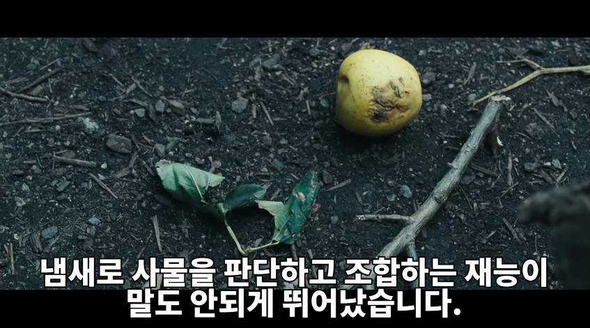 유튜브 ‘소개해주는 남자’