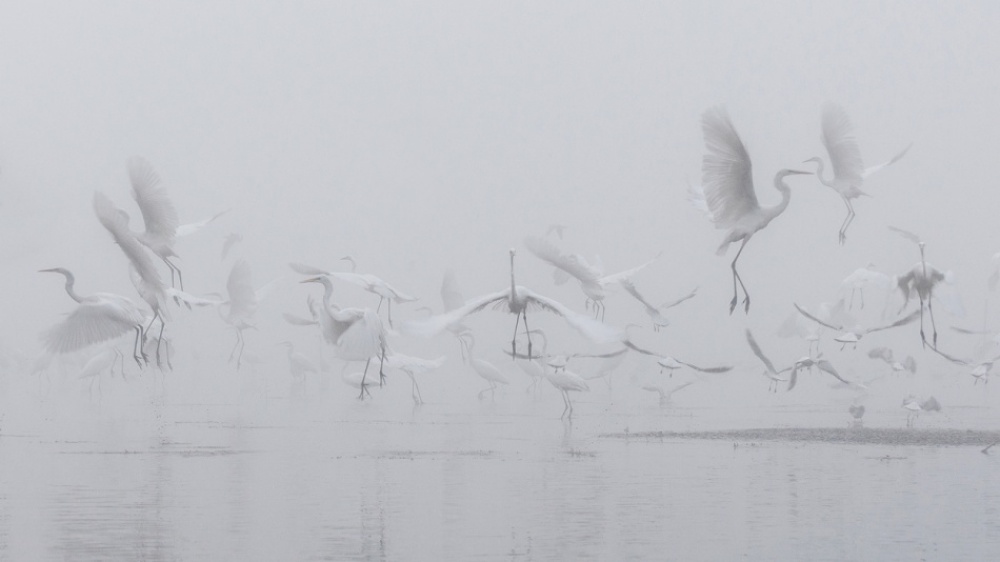 205155-1000-144716078710119010-r3l8t8d-950-782609