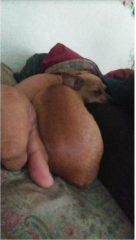 reddit