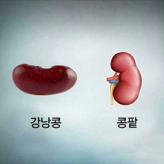 지식의 정석