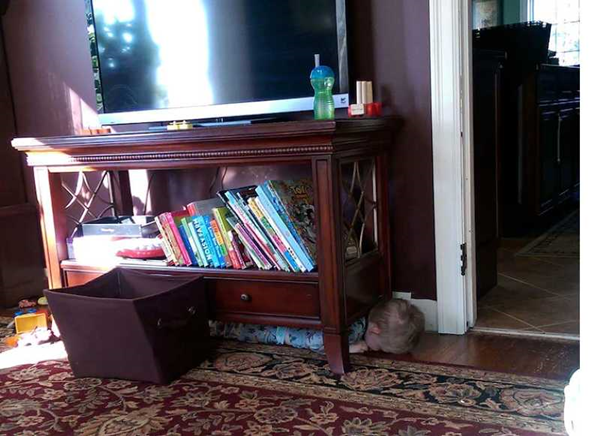 온라인 커뮤니티