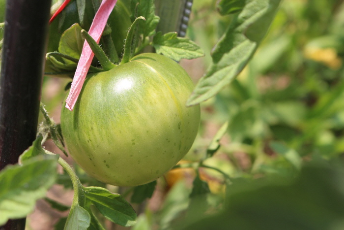 3 25 - 잘못 먹으면 건강에 '독'이 될 수 있는 10가지 음식