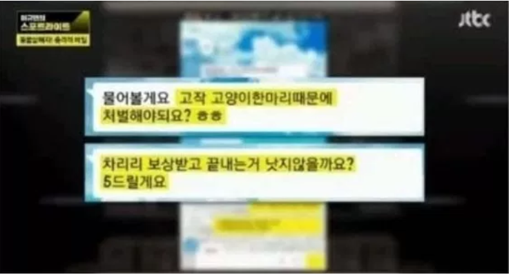 JTBC ‘이규연의 스포트라이트’