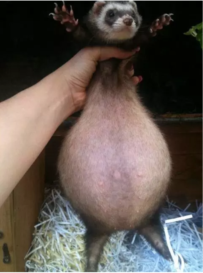 reddit